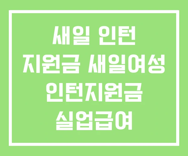 새일 인턴 지원금 새일여성 인턴지원금 실업급여 인턴지원 새일 인턴 지원금 새일여성 인턴지원금 실업급여 인턴지원