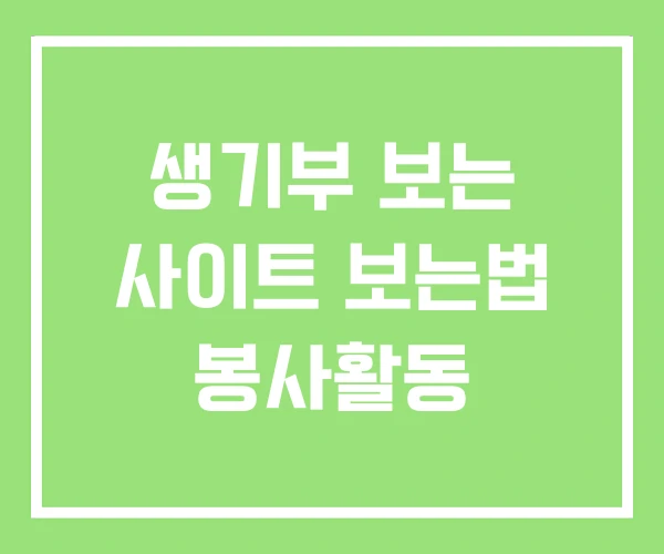 생기부 보는 사이트 보는법 봉사활동