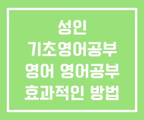 성인 기초영어공부 영어 영어공부 효과적인 방법 성인 기초영어공부 영어 영어공부 효과적인 방법