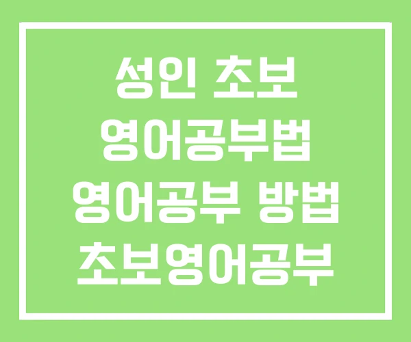 성인 초보 영어공부법 영어공부 방법 초보영어공부