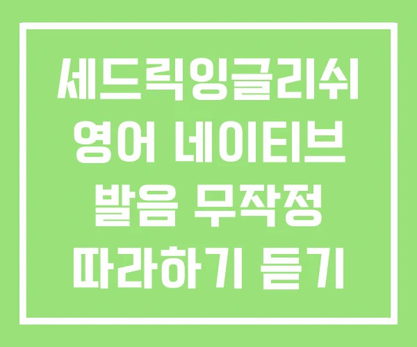 세드릭잉글리쉬 영어 네이티브 발음 무작정 따라하기 듣기