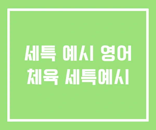 세특 예시 영어 체육 세특예시 세특 예시 영어 체육 세특예시