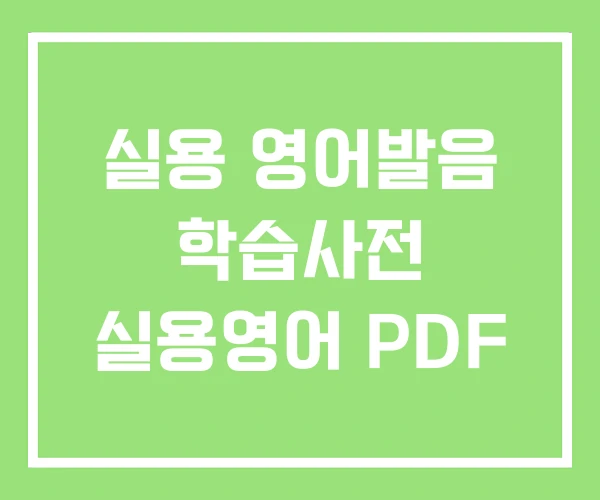 실용 영어발음 학습사전 실용영어 PDF 실용 영어발음 학습사전 실용영어 PDF