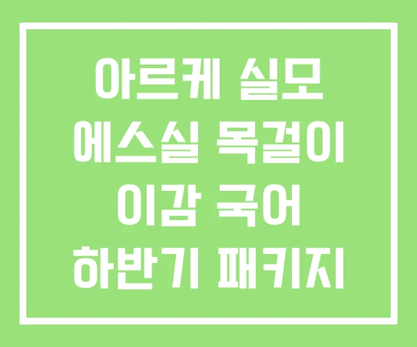 아르케 실모 에스실 목걸이 이감 국어 하반기 패키지 2호