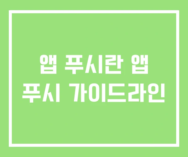 앱 푸시란 앱 푸시 가이드라인 앱 푸시란 앱 푸시 가이드라인