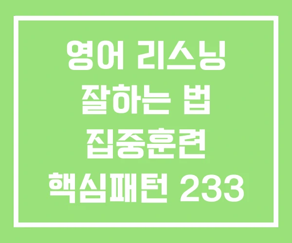 영어 리스닝 잘하는 법 집중훈련 핵심패턴 233 영어 리스닝 잘하는 법 집중훈련 핵심패턴 233