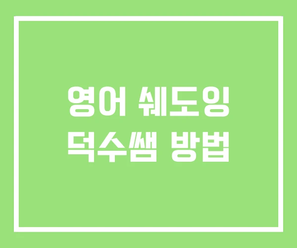 영어 쉐도잉 덕수쌤 방법 영어 쉐도잉 덕수쌤 방법