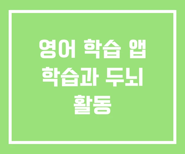 영어 학습 앱 학습과 두뇌 활동 영어 학습 앱 학습과 두뇌 활동