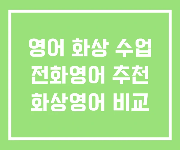 영어 화상 수업 전화영어 추천 화상영어 비교