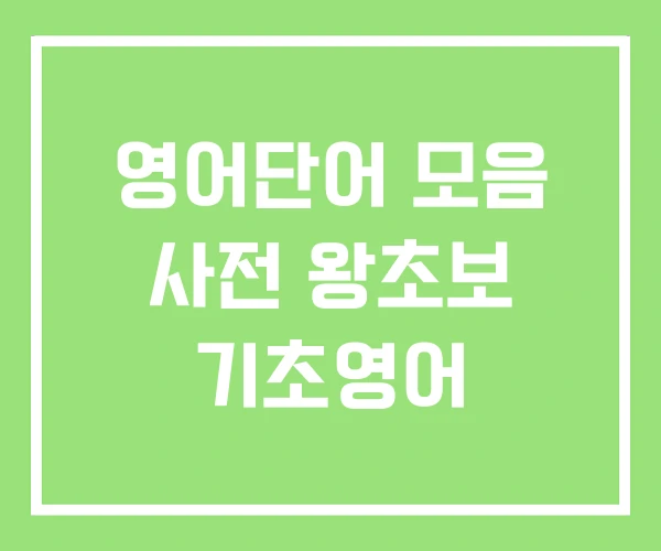 영어단어 모음 사전 왕초보 기초영어