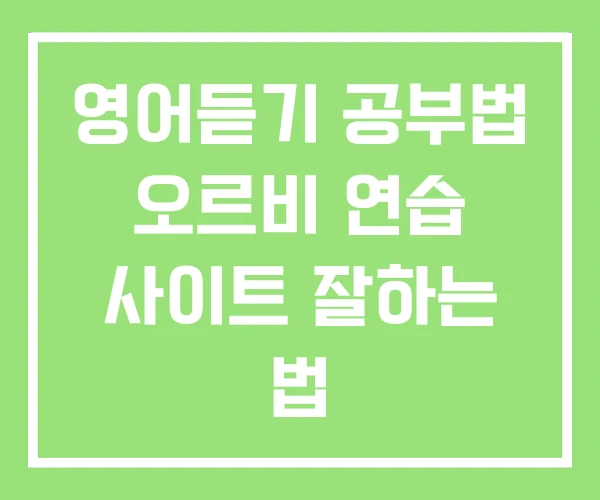 영어듣기 공부법 오르비 연습 사이트 잘하는 법 영어듣기 공부법 오르비 연습 사이트 잘하는 법