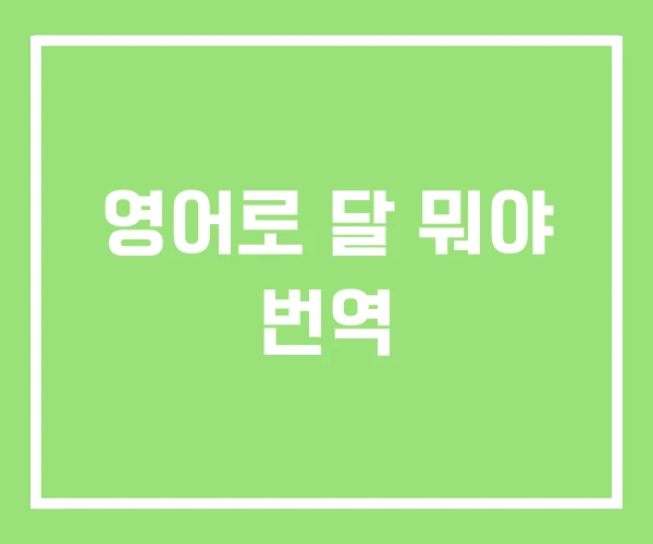 영어로 달 뭐야 번역 영어로 달 뭐야 번역