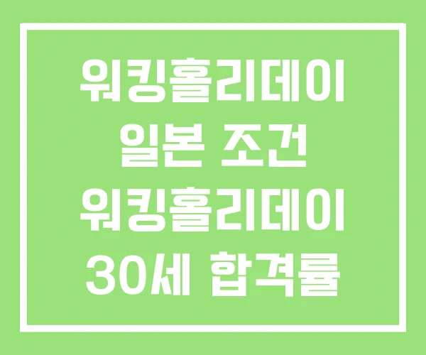 워킹홀리데이 일본 조건 워킹홀리데이 30세 합격률 워킹홀리데이 일본 조건 워킹홀리데이 30세 합격률