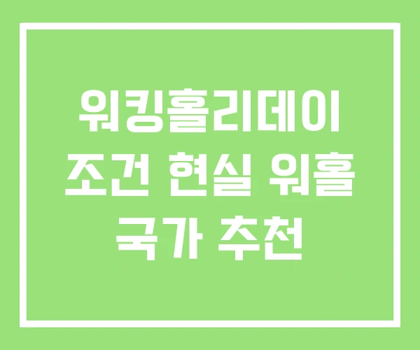 워킹홀리데이 조건 현실 워홀 국가 추천 워킹홀리데이 조건 현실 워홀 국가 추천