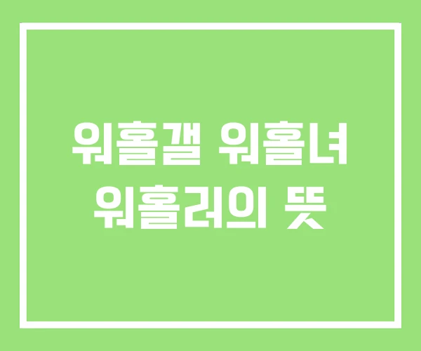 워홀갤 워홀녀 워홀러의 뜻 워홀갤 워홀녀 워홀러의 뜻
