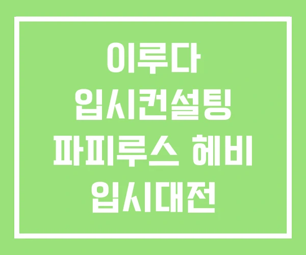 이루다 입시컨설팅 파피루스 헤비 입시대전 이루다 입시컨설팅 파피루스 헤비 입시대전