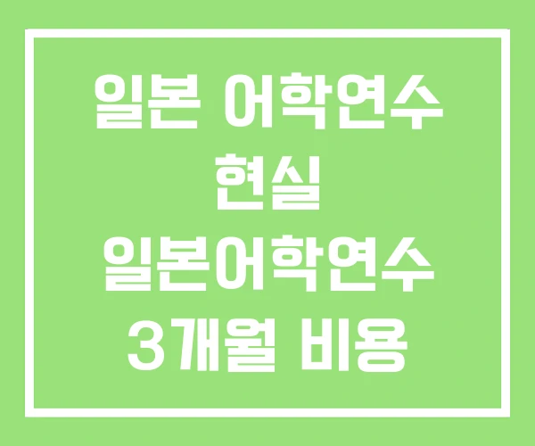 일본 어학연수 현실 일본어학연수 3개월 비용 6개월 일본 어학연수 현실 일본어학연수 3개월 비용 6개월