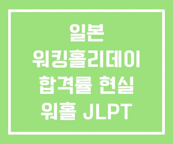 일본 워킹홀리데이 합격률 현실 워홀 JLPT 일본 워킹홀리데이 합격률 현실 워홀 JLPT