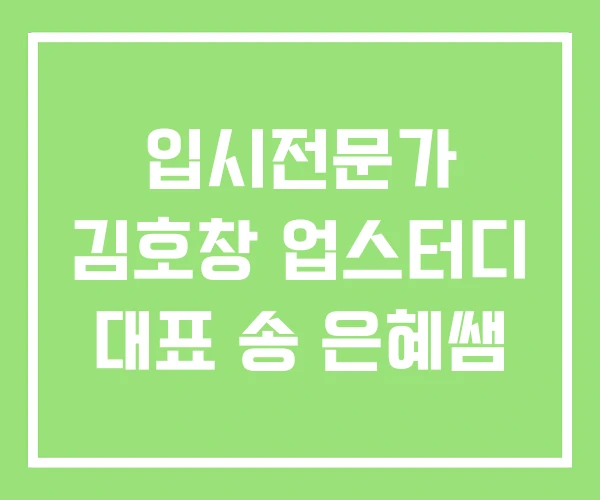 입시전문가 김호창 업스터디 대표 송 은혜쌤