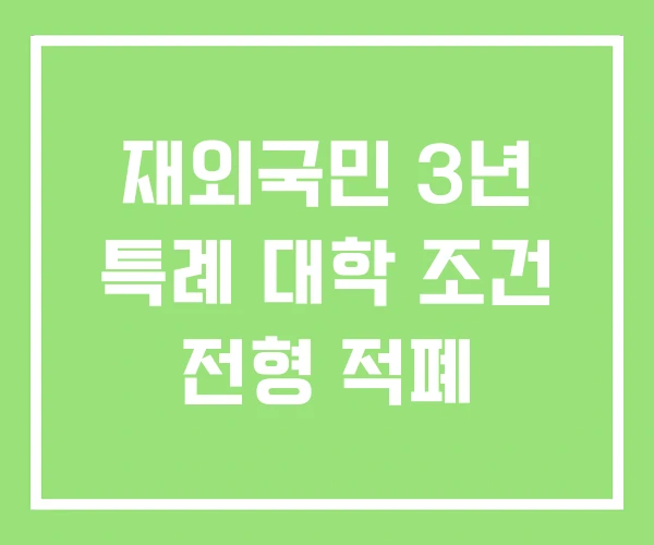 재외국민 3년 특례 대학 조건 전형 적폐