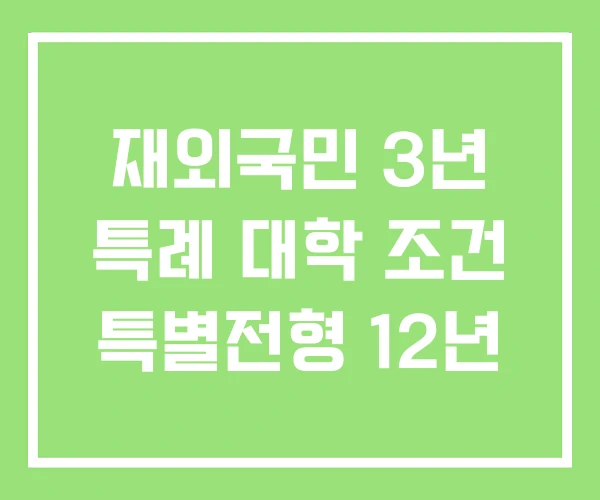 재외국민 3년 특례 대학 조건 특별전형 12년 재외국민 3년 특례 대학 조건 특별전형 12년