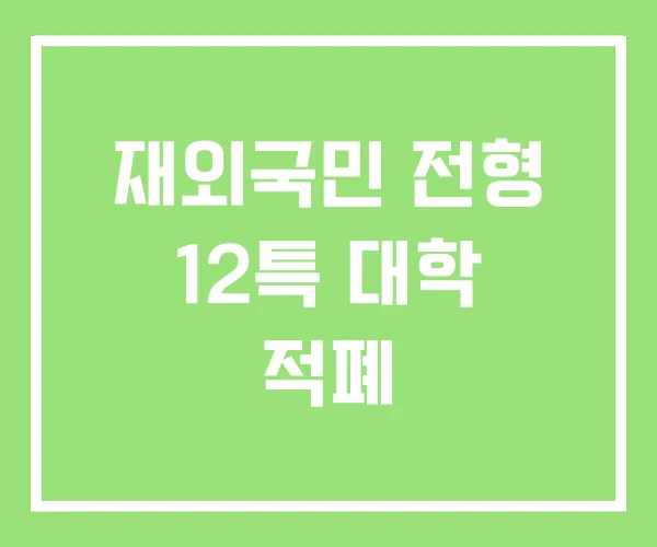 재외국민 전형 12특 대학 적폐 재외국민 전형 12특 대학 적폐