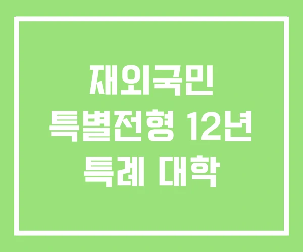 재외국민 특별전형 12년 특례 대학