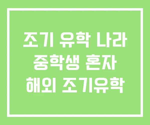 조기 유학 나라 중학생 혼자 해외 조기유학