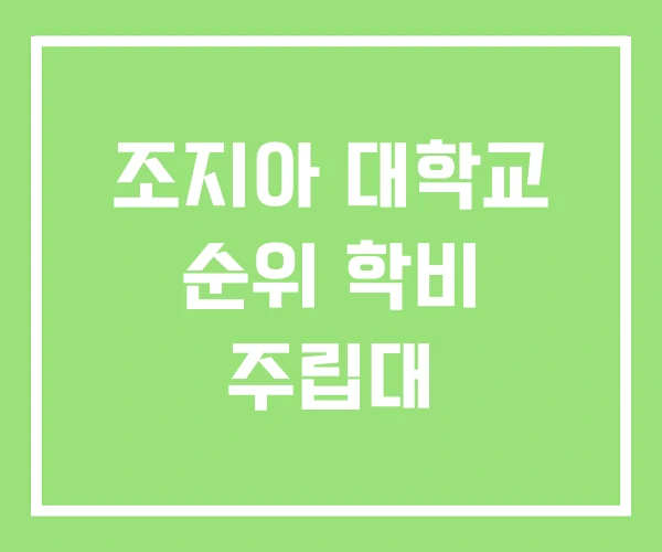 조지아 대학교 순위 학비 주립대 조지아 대학교 순위 학비 주립대