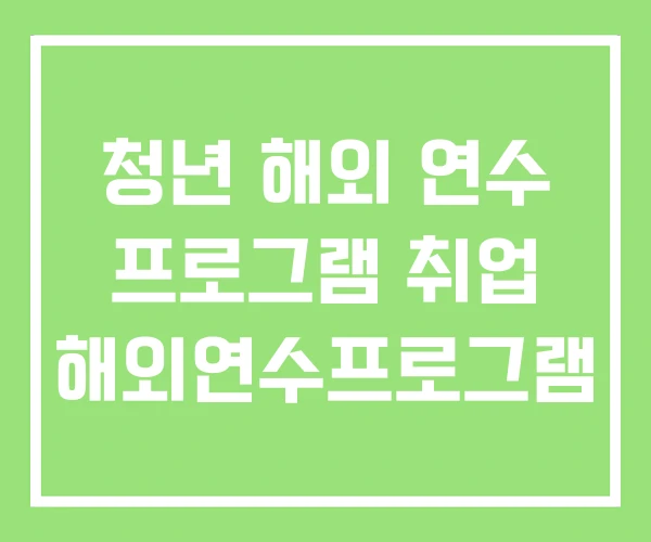 청년 해외 연수 프로그램 취업 해외연수프로그램