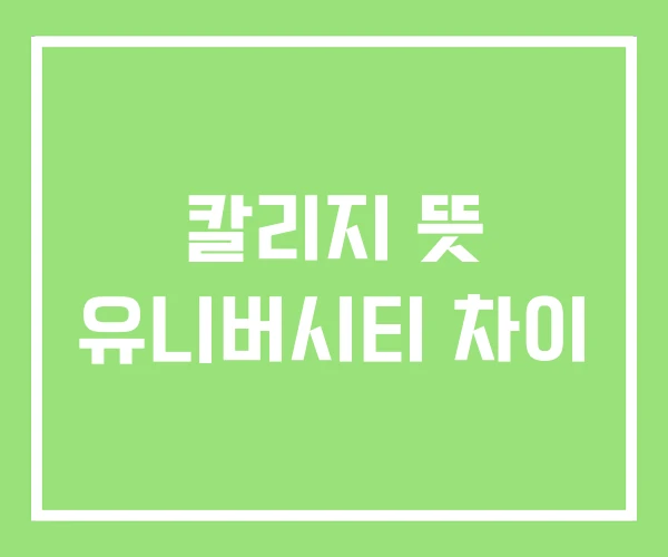 칼리지 뜻 유니버시티 차이