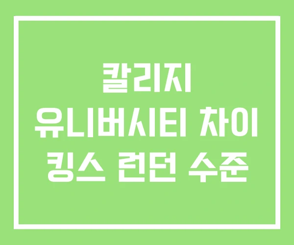 칼리지 유니버시티 차이 킹스 런던 수준