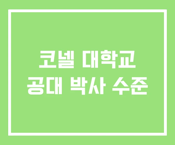 코넬 대학교 공대 박사 수준