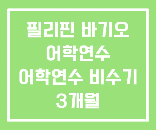 필리핀 바기오 어학연수 어학연수 비수기 3개월 필리핀 바기오 어학연수 어학연수 비수기 3개월
