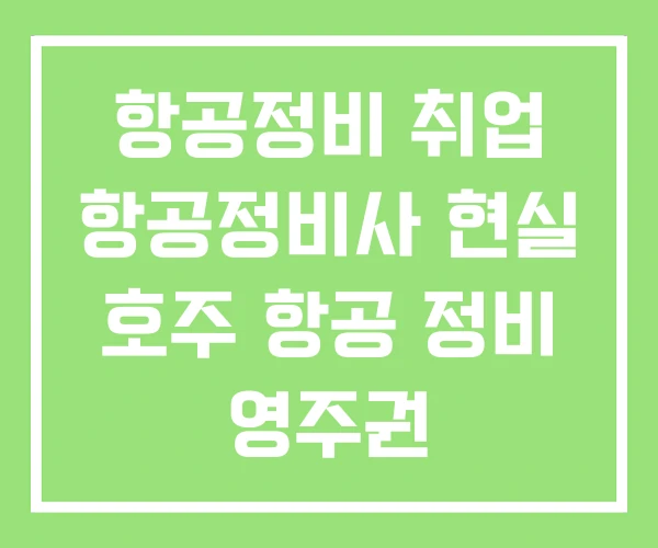 항공정비 취업 항공정비사 현실 호주 항공 정비 영주권 항공정비 취업 항공정비사 현실 호주 항공 정비 영주권