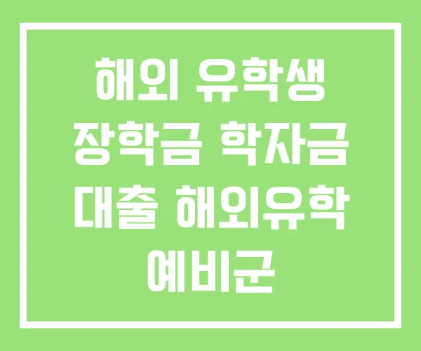 해외 유학생 장학금 학자금 대출 해외유학 예비군 해외 유학생 장학금 학자금 대출 해외유학 예비군