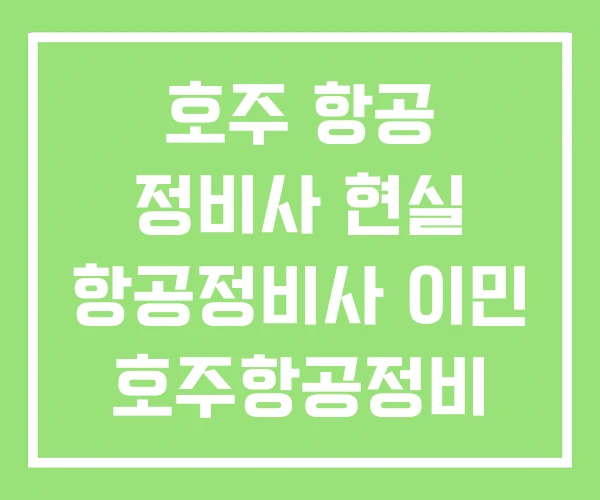호주 항공 정비사 현실 항공정비사 이민 호주항공정비 유학 호주 항공 정비사 현실 항공정비사 이민 호주항공정비 유학